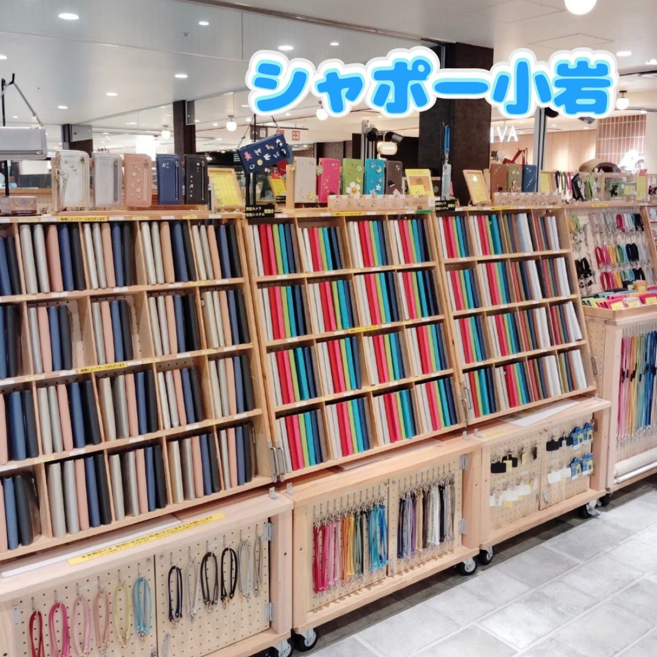 シャポー小岩 ~2026.8.3-2026.8.12~